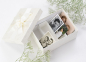 Preview: Foto-/ Erinnerungsbox midi