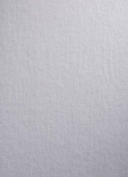 Die Brautkleidbox Pearly Croco hat ein sowohl dezentes als auch extravagantes Design.