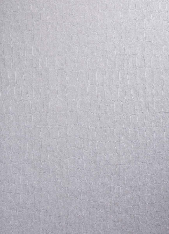 Die Brautkleidbox Pearly Croco hat ein sowohl dezentes als auch extravagantes Design.